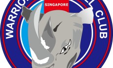 九游体育平台-包含新加坡球队在国际赛事中崭露头角的词条