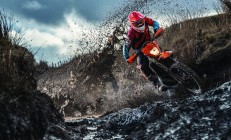 九游体育APP-浙江队掀翻国王，霍勒迪成为关键先生，一场颠覆预期的胜利