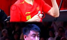 九游APP-包含日本乒乓球队绝地反击比利时乒乓球队，王皓送出助攻的词条