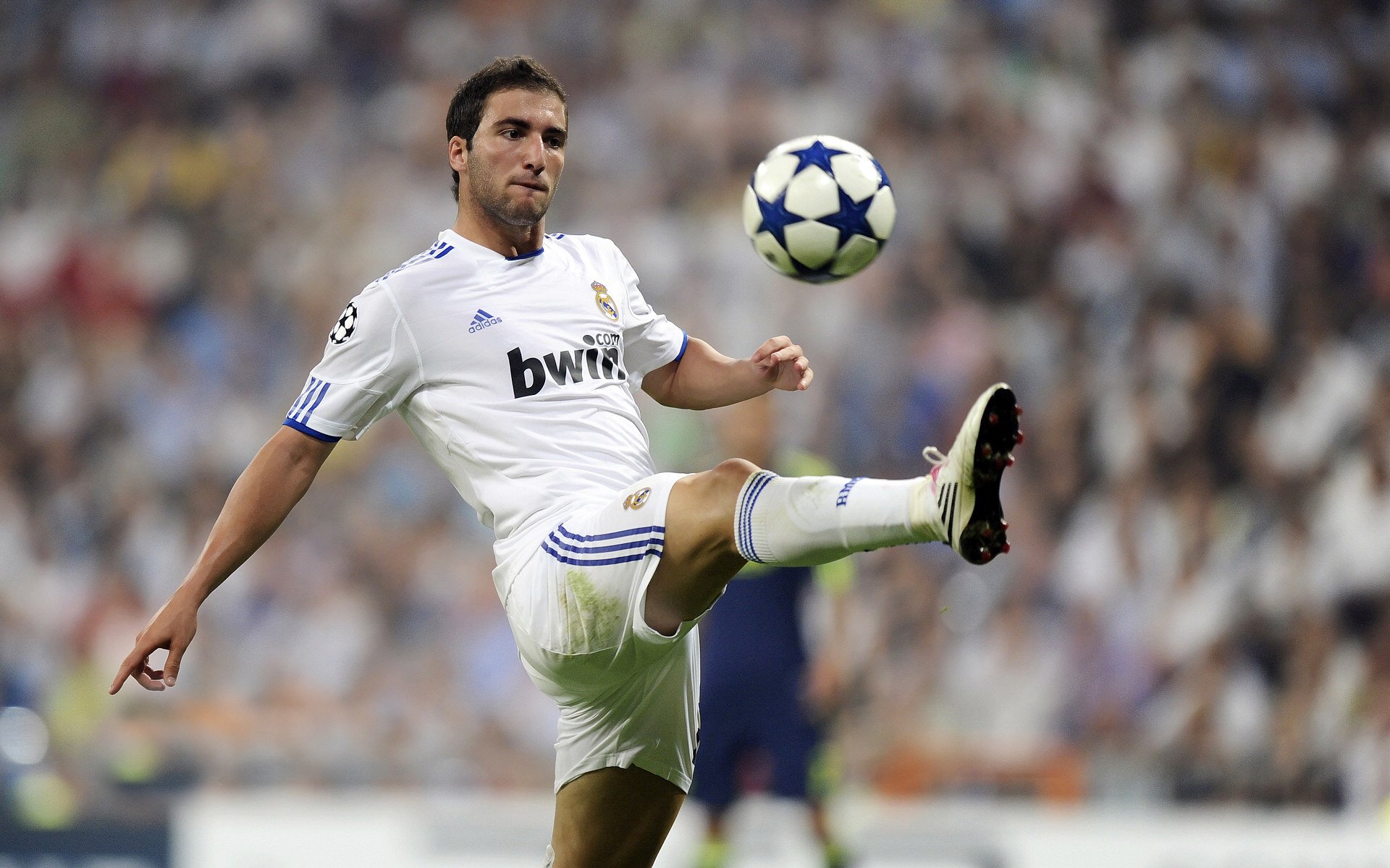 武切维奇,跨洋焦点战,一役证名